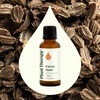 image:imagePlant Therapy Carrot Seed Essential Oil 100 Pure Undiluted Natural Aromatherapy Therapeutic Grade 30 mL 1 oz