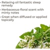 image:imagePlant Therapy Catnip Essential Oil 100 Pure Undiluted Natural Aromatherapy Therapeutic Grade 30 mL 1 oz
