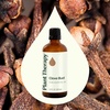 image:imagePlant Therapy Clove Bud Essential Oil 100 mL 33 oz 100 Pure Undiluted Natural Aromatherapy
