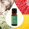 image:imagePlant Therapy Crave Control Munchy Stop Essential Oil Blend 10 mL 13 oz 100 Pure Undiluted Natural Aromatherapy for a Boost of Willpower and Energy