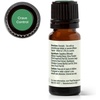 image:imagePlant Therapy Crave Control Munchy Stop Essential Oil Blend 10 mL 13 oz 100 Pure Undiluted Natural Aromatherapy for a Boost of Willpower and Energy
