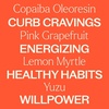 image:imagePlant Therapy Crave Control Munchy Stop Essential Oil Blend 10 mL 13 oz 100 Pure Undiluted Natural Aromatherapy for a Boost of Willpower and Energy