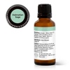 image:imagePlant Therapy Dalmatian Sage Essential Oil 30 mL 1 oz 100 Pure Undiluted Therapeutic Grade