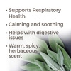 image:imagePlant Therapy Dalmatian Sage Essential Oil 30 mL 1 oz 100 Pure Undiluted Therapeutic Grade