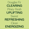 image:imagePlant Therapy Douglas Fir Essential Oil 10 mL 13 oz