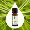 image:imagePlant Therapy Douglas Fir Essential Oil 10 mL 13 oz