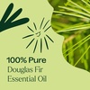 image:imagePlant Therapy Douglas Fir Essential Oil 10 mL 13 oz