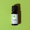 image:imagePlant Therapy Egyptian Geranium Essential Oil 10 mL 13 oz
