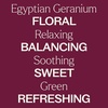 image:imagePlant Therapy Egyptian Geranium Essential Oil 10 mL 13 oz