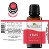 image:imagePlant Therapy Elemi Essential Oil 30 mL 1 oz 100 Pure Undiluted Therapeutic Grade