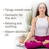 image:imagePlant Therapy Elemi Essential Oil 30 mL 1 oz 100 Pure Undiluted Therapeutic Grade