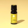 image:imagePlant Therapy Energy Essential Oil Blend 10 mL 13 oz 100 Pure Undiluted Aromatherapy Refreshing Natural Energy Blend with Citrus and Peppermint
