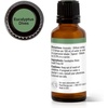 image:imagePlant Therapy Eucalyptus Dives Essential Oil 30 mL 1 oz 100 Pure Undiluted Therapeutic Grade