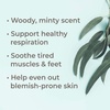 image:imagePlant Therapy Eucalyptus Dives Essential Oil 30 mL 1 oz 100 Pure Undiluted Therapeutic Grade