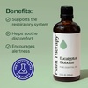 image:imagePlant Therapy Eucalyptus Globulus Essential Oil 100 mL 33 oz