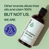 image:imagePlant Therapy Eucalyptus Globulus Essential Oil 100 mL 33 oz