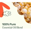 image:imagePlant Therapy Fantastic Franks Essential Oil Blend 5 mL 16 oz 100 Pure Undiluted Therapeutic Grade