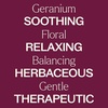 image:imagePlant Therapy Geranium Bourbon Essential Oil 100 Pure Undiluted Natural Aromatherapy Therapeutic Grade 5 mL 16 oz