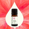 image:imagePlant Therapy Geranium Bourbon Essential Oil 100 Pure Undiluted Natural Aromatherapy Therapeutic Grade 5 mL 16 oz
