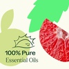 image:imagePlant Therapy Honeybell Essential Oil Blend 10 mL 13 oz 100 Pure Undiluted Uplifting Aromatherapy and Fresh Scent