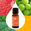 image:imagePlant Therapy Honeybell Essential Oil Blend 10 mL 13 oz 100 Pure Undiluted Uplifting Aromatherapy and Fresh Scent