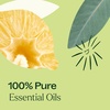 image:imagePlant Therapy Immune Aid Essential Oil Blend 10 mL 13 oz 100 Pure Undiluted Natural Aromatherapy Natural Immune Support Fresh Scent