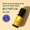 image:imagePlant Therapy Immune Aid Essential Oil Blend 10 mL 13 oz 100 Pure Undiluted Natural Aromatherapy Natural Immune Support Fresh Scent