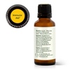 image:imagePlant Therapy Immune Aid Essential Oil Blend 30 mL 1 oz 100 Pure Undiluted Natural Aromatherapy Natural Immune Support Fresh Scent