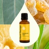 image:imagePlant Therapy Immune Aid Essential Oil Blend 30 mL 1 oz 100 Pure Undiluted Natural Aromatherapy Natural Immune Support Fresh Scent