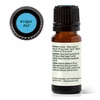 image:imagePlant Therapy Invigor Aid Essential Oil Blend 10 mL 13 oz 100 Pure and Undiluted Essential Oils Great for DIY Body Care