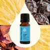 image:imagePlant Therapy Invigor Aid Essential Oil Blend 10 mL 13 oz 100 Pure and Undiluted Essential Oils Great for DIY Body Care