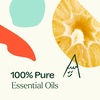 image:imagePlant Therapy Invigor Aid Essential Oil Blend 10 mL 13 oz 100 Pure and Undiluted Essential Oils Great for DIY Body Care