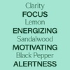 image:imagePlant Therapy Invigor Aid Essential Oil Blend 10 mL 13 oz 100 Pure and Undiluted Essential Oils Great for DIY Body Care
