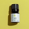 image:imagePlant Therapy Jasmine Sambac Absolute Essential Oil 25 mL 112 oz 100 Pure and Undiluted Great for Skin Care DIYs and Aromatherapy