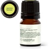 image:imagePlant Therapy Jasmine Sambac Absolute Essential Oil 25 mL 112 oz 100 Pure and Undiluted Great for Skin Care DIYs and Aromatherapy