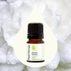 image:imagePlant Therapy Jasmine Sambac Absolute Essential Oil 25 mL 112 oz 100 Pure and Undiluted Great for Skin Care DIYs and Aromatherapy