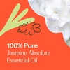image:imagePlant Therapy Jasmine Sambac Absolute Essential Oil 25 mL 112 oz 100 Pure and Undiluted Great for Skin Care DIYs and Aromatherapy