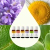 image:imagePlant Therapy KidSafe Organic Essential Oil Blends Set 10 mL 13 oz 100 Pure Undiluted Aromatherapy Sleep Support Mood Booster Attention and Focus