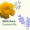 image:imagePlant Therapy KidSafe Organic Essential Oil Blends Set 10 mL 13 oz 100 Pure Undiluted Aromatherapy Sleep Support Mood Booster Attention and Focus