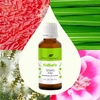 image:imagePlant Therapy KidSafe Shield Me Synergy Essential Oil 30 mL 1 oz 100 Pure Undiluted Therapeutic Grade