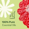 image:imagePlant Therapy KidSafe Shield Me Synergy Essential Oil 30 mL 1 oz 100 Pure Undiluted Therapeutic Grade