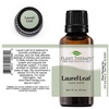 image:imagePlant Therapy Laurel Leaf Essential Oil 30 mL 1 oz 100 Pure Undiluted Therapeutic Grade