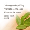 image:imagePlant Therapy Laurel Leaf Essential Oil 30 mL 1 oz 100 Pure Undiluted Therapeutic Grade