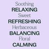 image:imagePlant Therapy Lavandin Essential Oil 100 mL 33 oz 100 Pure Undiluted Therapeutic Grade
