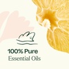 image:imagePlant Therapy Lemon Cupcake Essential Oil Blend 10 mL 13 oz