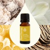 image:imagePlant Therapy Lemon Cupcake Essential Oil Blend 10 mL 13 oz