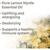 image:imagePlant Therapy Lemon Myrtle Essential Oil 30 mL 1 oz 100 Pure Undiluted Therapeutic Grade