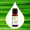 image:imagePlant Therapy Lemongrass Essential Oil 10 mL 13 oz