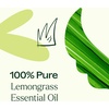 image:imagePlant Therapy Lemongrass Essential Oil 100 mL 33 oz