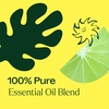 image:imagePlant Therapy Lime in The Coconut Essential Oil Blend 10 mL 13 oz